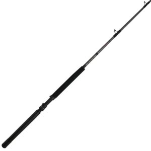 Ally? II Conventional Boat Rod