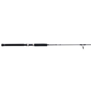 Ally? II Spinning Boat Rod