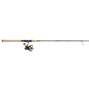 Battle? IV Spinning Combo