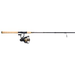 Battle? IV Travel Spinning Combo