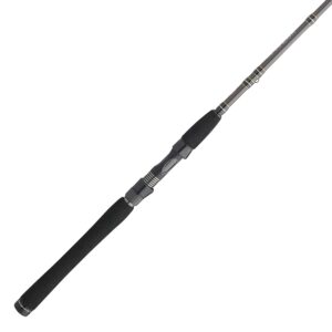 Carnage? III Inshore Spinning Rod