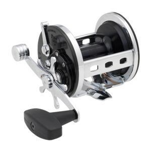 Jigmaster? Star Drag Conventional Reel