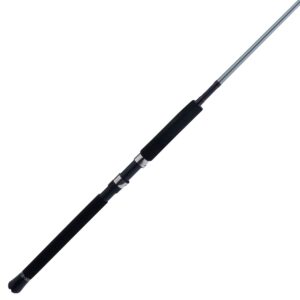 Prevail? III Spinning Boat Rod