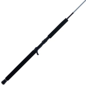 Prevail? III Conventional Jig Rod