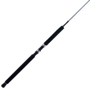 Prevail? III Spinning Jig Rod