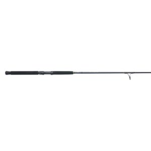 Battalion? III Spinning Boat Rod