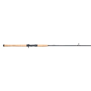 Battalion? III Inshore Casting Rod