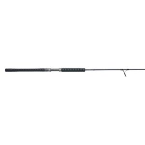 Battalion? III Jig Spinning Rod