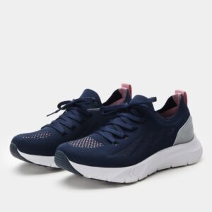 Regale Blush Navy Shoe
